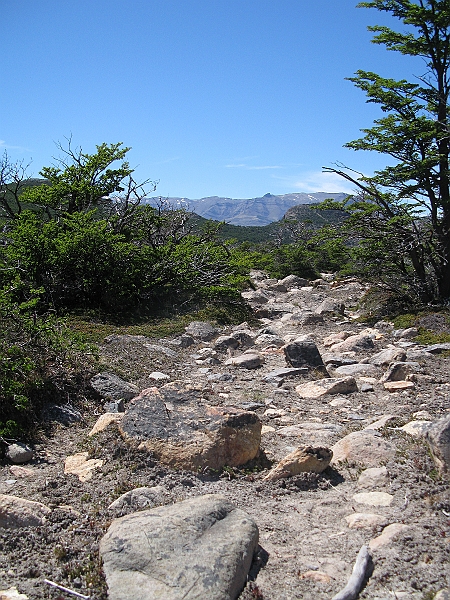 Patagonie 083.jpg